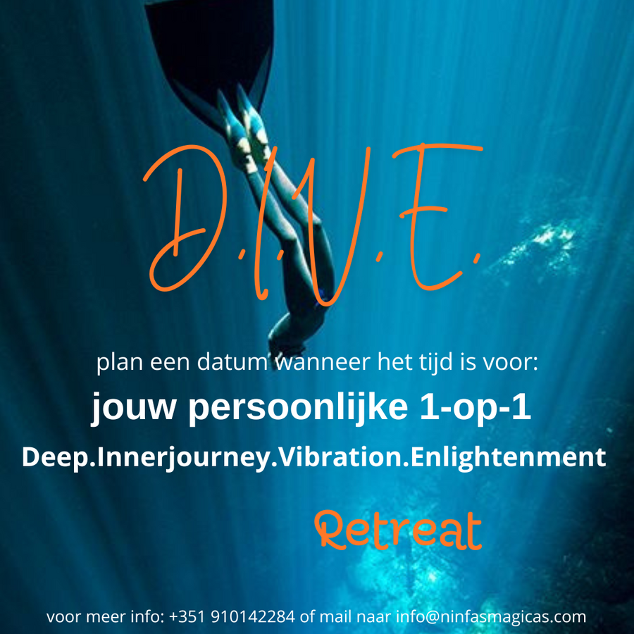 d.i.v.ezip 1